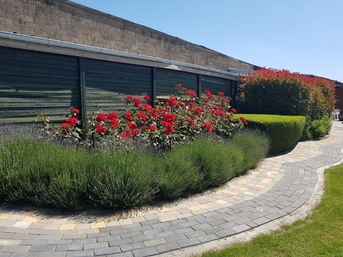Apartamento De Achtertuin Maasmechelen Exterior foto